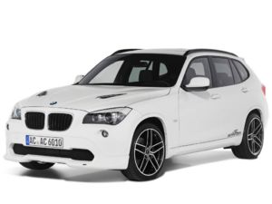 Schnitzer x1
