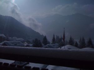 IMG 0426