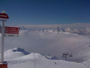 IMG 0429