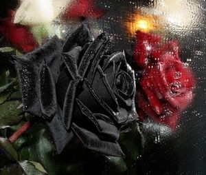Две розы