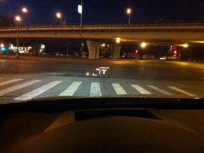 IMG 0215 resize