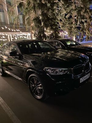 Выгуливаю