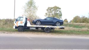 391154