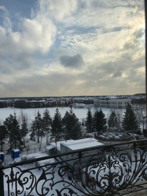 Миллениум парк