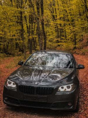 Autumn