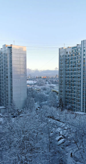 Крылатское 2024 12 31