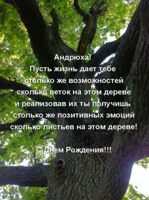 pozz