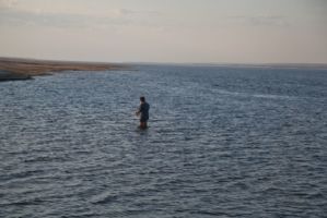 IMG 0418