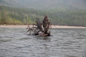 IMG 0816