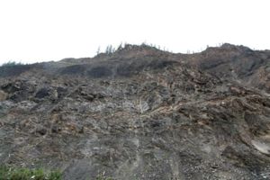 IMG 0669
