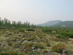 IMG 0461