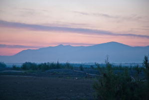 IMG 0216
