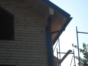 IMG 3675