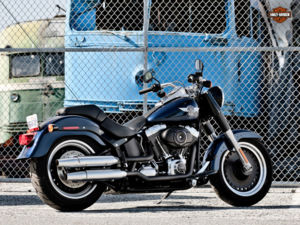 12 fat boy lo fat boy special bs
