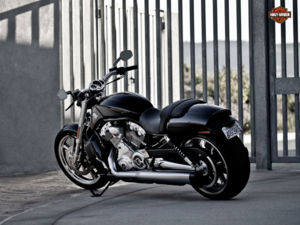 12 v rod muscle bs