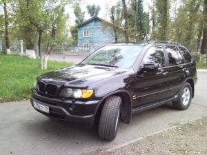 Поставил чёрные ноздри