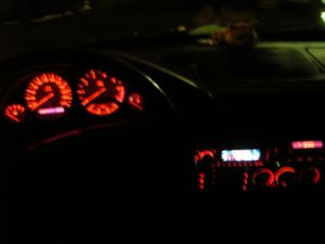 DSCN0593