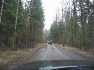 IMG 3264