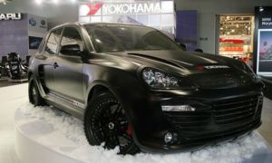 Porshe Magnum - городской лев.