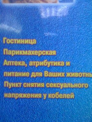 Picture 004