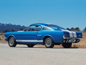 Shelby 01 pic3 700x467 96189