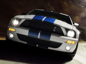 Shelby 06 pic3 700x467 66968