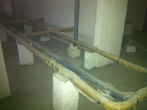 IMG 1407 resize