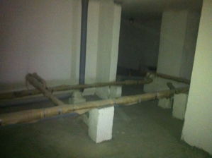 IMG 1409 resize