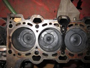 IMG 0751