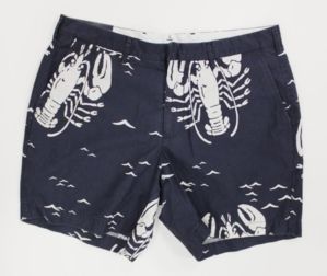 Шорты мужские swim