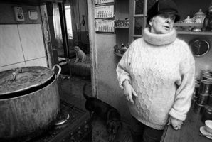 Приют "Солнышко", 2004 год