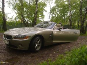 z4