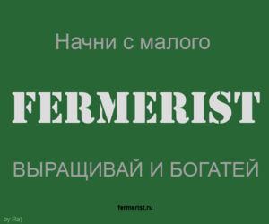 fermerist  logo