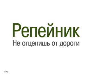 repeinik logo
