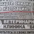 img 11648646 21 4