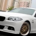 F10 Msp 523d BBS LM 20in