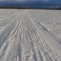 IMG 8257