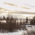 IMG 9567