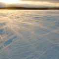 IMG 9578
