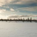 IMG 9593