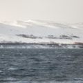 IMG 9613