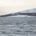 IMG 9614