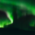 IMG 9692