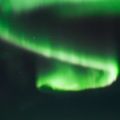 IMG 9695