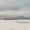 IMG 9773