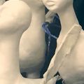 Птицы сирины, гамаюны, алконосты), девы голы, никак не приодену с диплома)