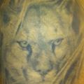 Tatu2